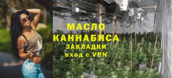 шишки Сатка